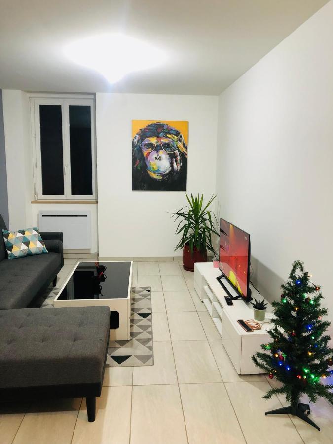 Superbe Appartement Roanne Eksteriør bilde