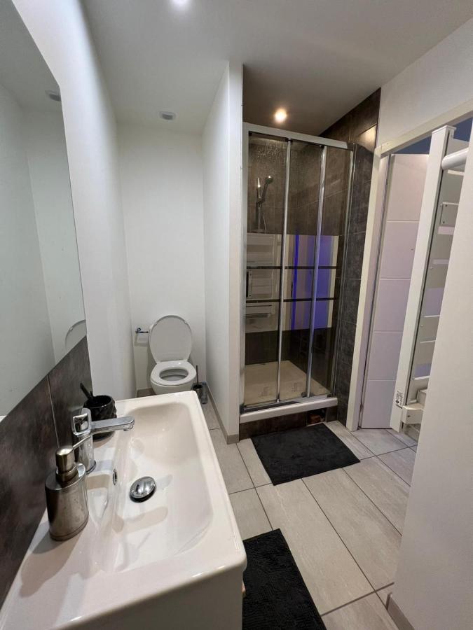 Superbe Appartement Roanne Eksteriør bilde